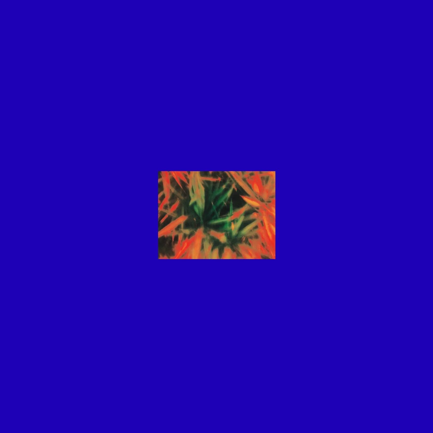 untitled work, 4 december 2025
